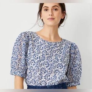 EUC Ann Taylor women’s blouse with sheer puffy sleeves